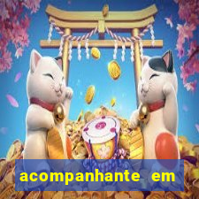 acompanhante em alagoinhas ba